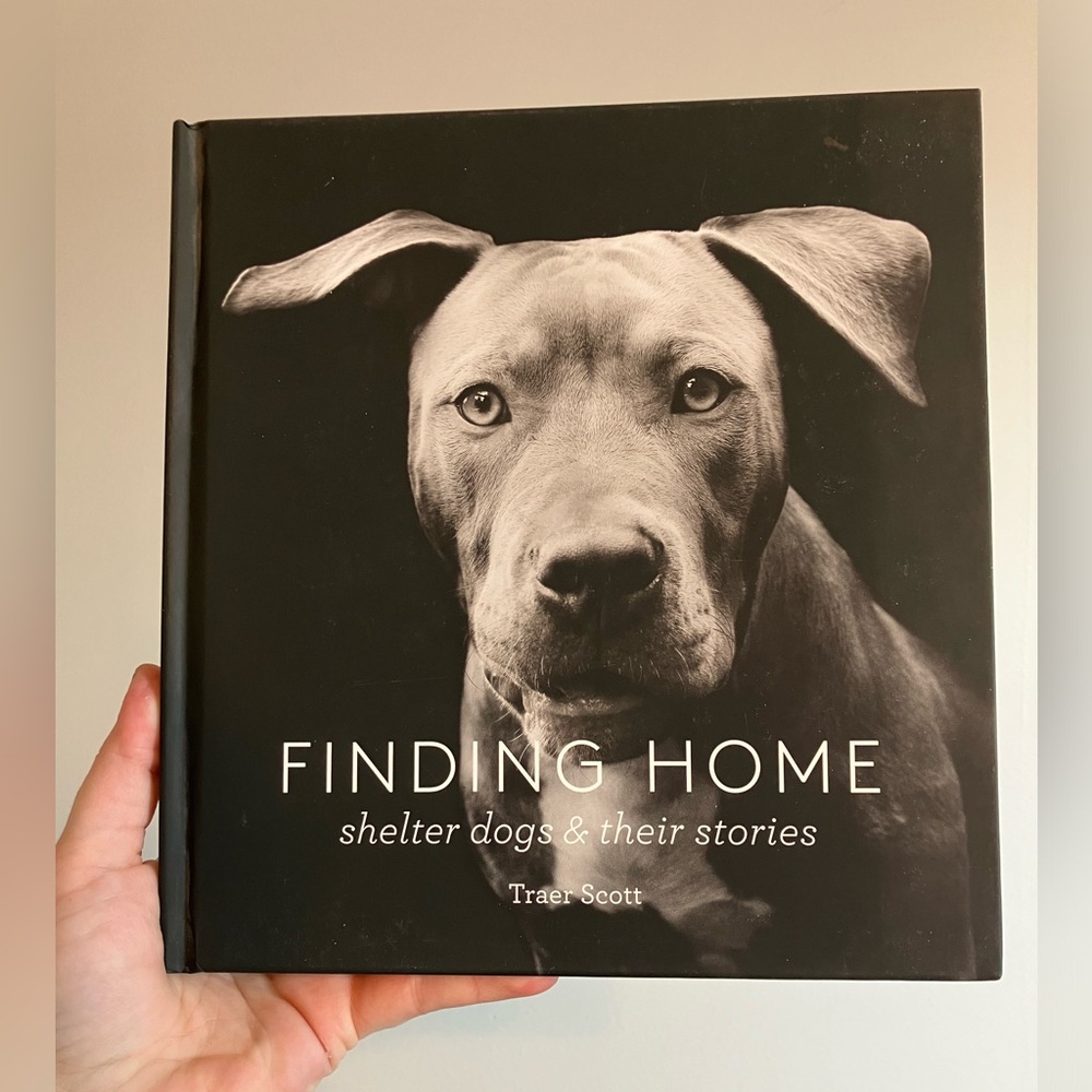 Finding Home Shelter dogs & their stories by Traer Scott
